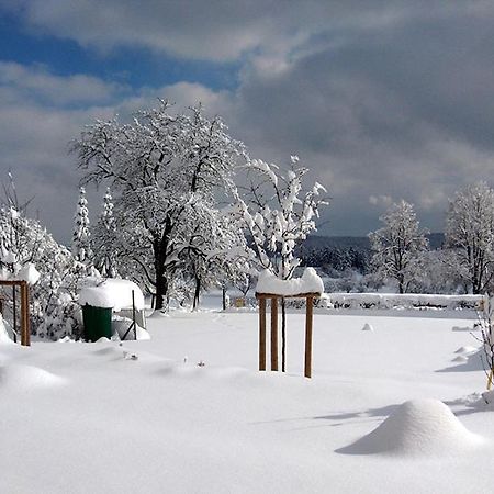 Hotel-Gasthof Sternen Winterlingen ภายนอก รูปภาพ