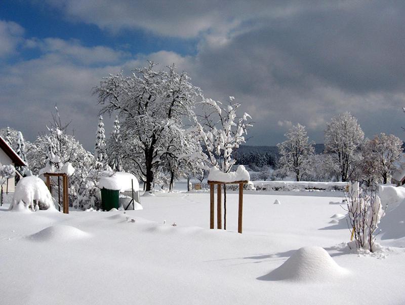 Hotel-Gasthof Sternen Winterlingen ภายนอก รูปภาพ